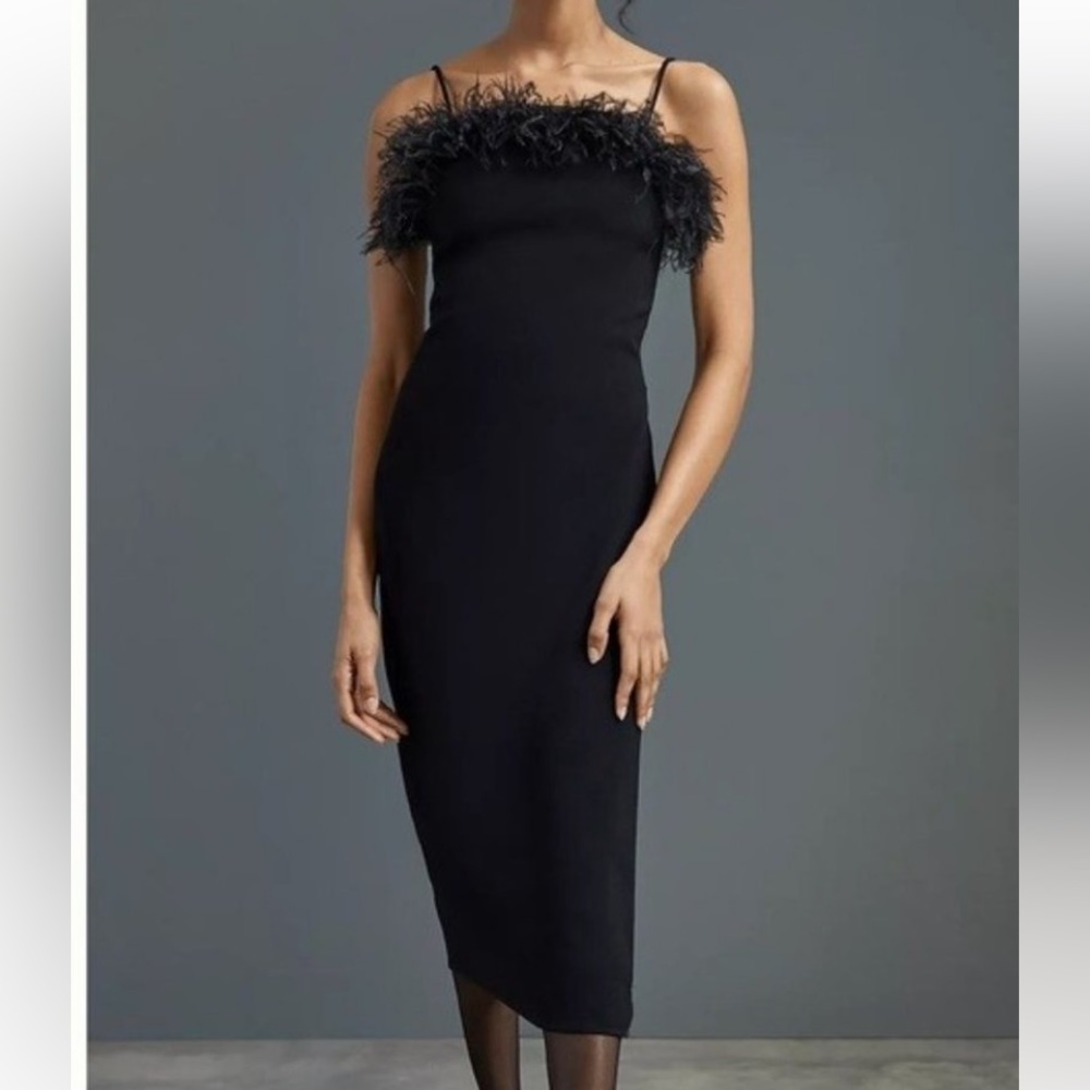 Black Feather Trim Anthropologie Elliat Dress